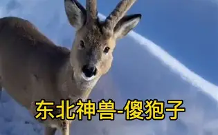 piC傻漓?a?轈?>(不爱就算了pixxie)-爱游戏官方网站